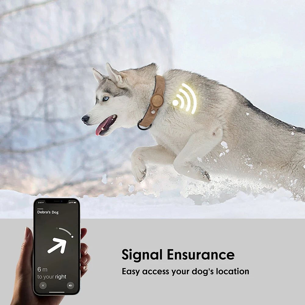 GPS Tracker Collar